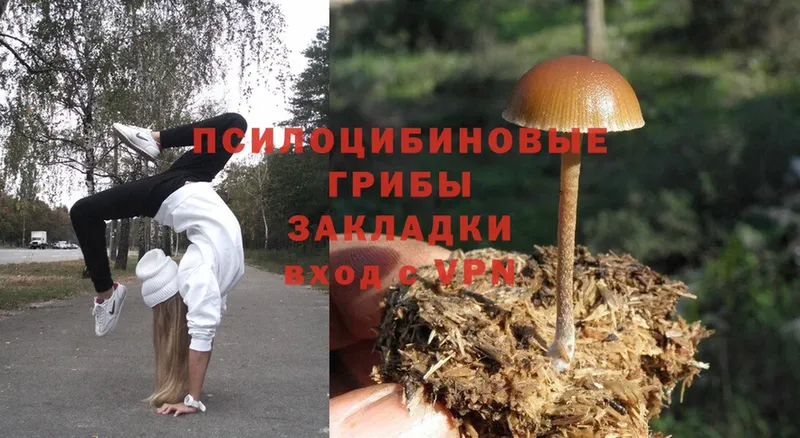 цены наркотик  Балтийск  Псилоцибиновые грибы Magic Shrooms 